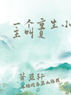 一个重生小说女主叫夏 一个重生小说女主叫夏