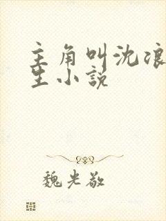 主角叫沈浪的重生小说