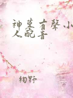 神墓有声小说多人配音