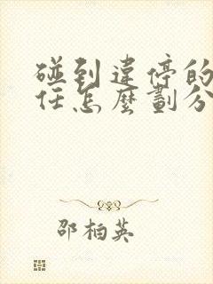 碰到违停的车责任怎么划分