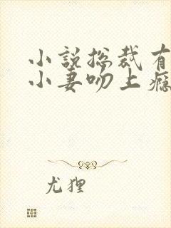 小说总裁有疾:小妻吻上瘾