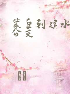 蒙自到建水城际公交