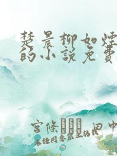 楚晨柳如烟主角的小说免费阅读