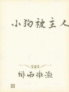 小狗被主人调教