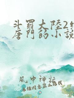 斗罗大陆2绝世唐门的小说