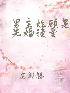 男主姓顾是律师先婚后爱