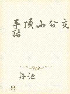平顶山公交车电话