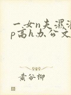 一女n夫湿润np高h办公文