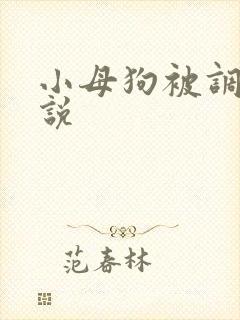 小母狗被调教小说 小母狗被调教小说