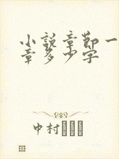 小说章节一般一章多少字