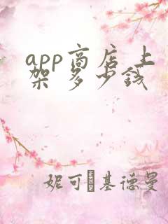app商店 上架 多少钱