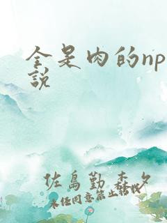 全是肉的np小说