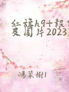 红旗h9+报价及图片2023款