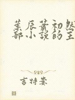 叶辰萧初然是哪部小说的主角