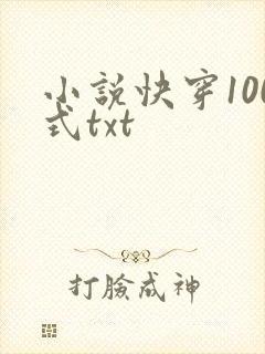 小说快穿100式txt
