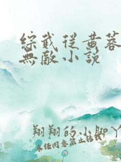 综武从黄蓉开始无敌小说