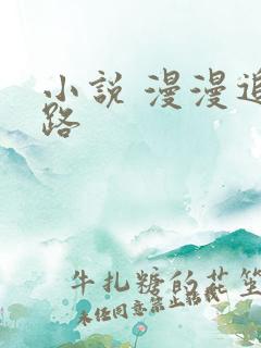 小说 漫漫追妻路