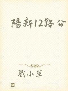 阳新12路公交