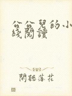 公公儿的小说在线阅读