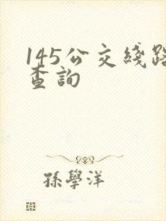 145公交线路查询