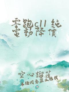 零跑c11 纯电动降价