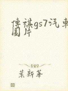 传祺gs7汽车图片