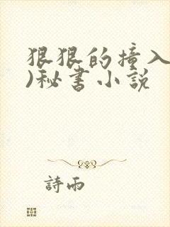 狠狠的撞入(h)秘书小说