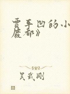 贾平凹的小说《废都》