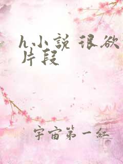 h小说 很欲的片段