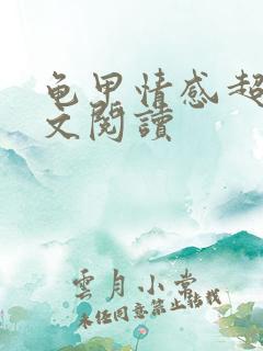 龟甲情感超市全文阅读