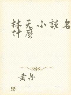 林天小说名字叫什么