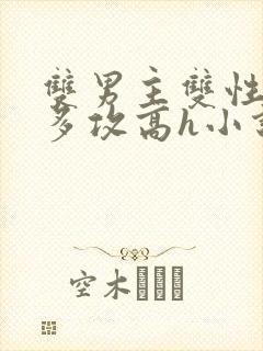双男主双性骚受多攻高h小说