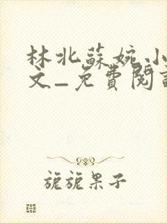 林北苏婉小说全文_免费阅读