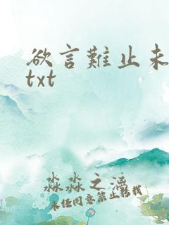 欲言难止未删减txt