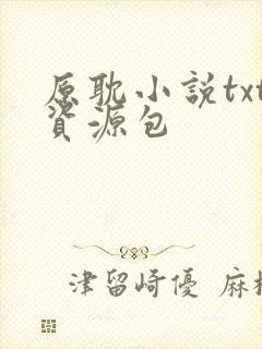 原耽小说txt资源包