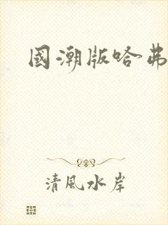 国潮版哈弗h6
