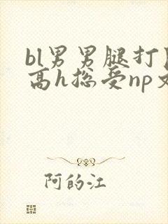 bl男男腿打开高h总受np文