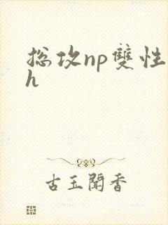 总攻np双性受h