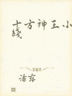 十方神王小说在线