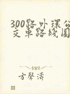 300路外环公交车路线图