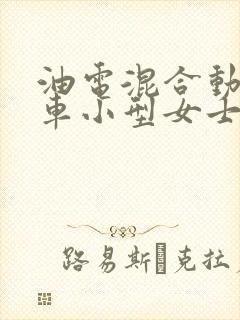 油电混合动力汽车小型女士