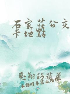 石家庄公交卡办卡地点