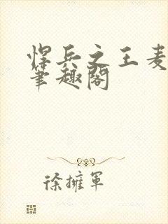 悍兵之王麦小飞笔趣阁