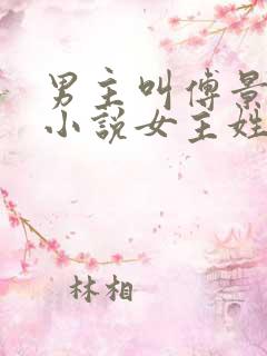 男主叫傅景琛的小说女主姓夏