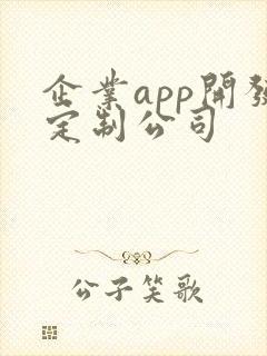 企业app开发定制公司