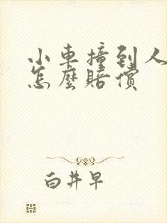 小车撞到人全责怎么赔偿