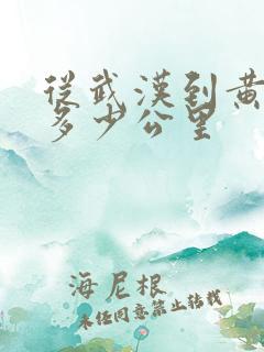 从武汉到黄鹤楼多少公里