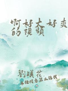 啊好大好爽好硬的视频