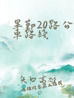 毕节20路公交车路线