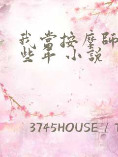 我当按摩师的那些年 小说